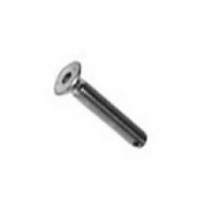 TPSCEI screw 8 x 55